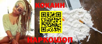 шишки Дубна