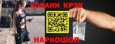 шишки Дубна