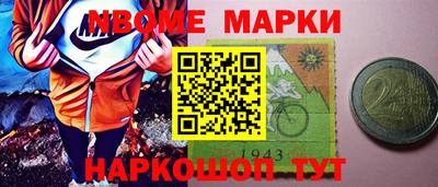 шишки Дубна