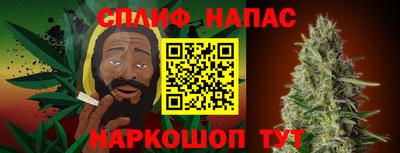 шишки Дубна
