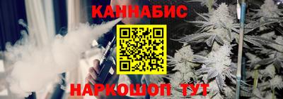 шишки Дубна