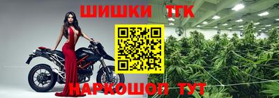 шишки Дубна