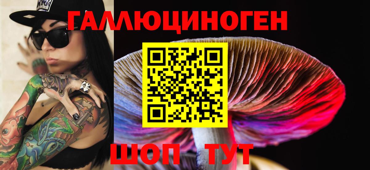 что такое   Вход с VPN  Киржач  Псилоцибиновые грибы MAGIC MUSHROOMS 